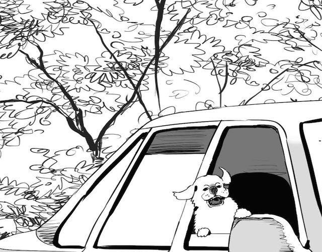《毛绒绒》第57话 那是很早以前的事了 第4页