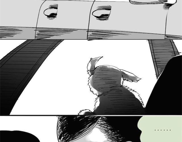 《毛绒绒》第57话 那是很早以前的事了 第5页