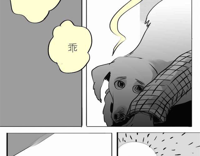 《毛绒绒》第58话 一起去散步 第15页