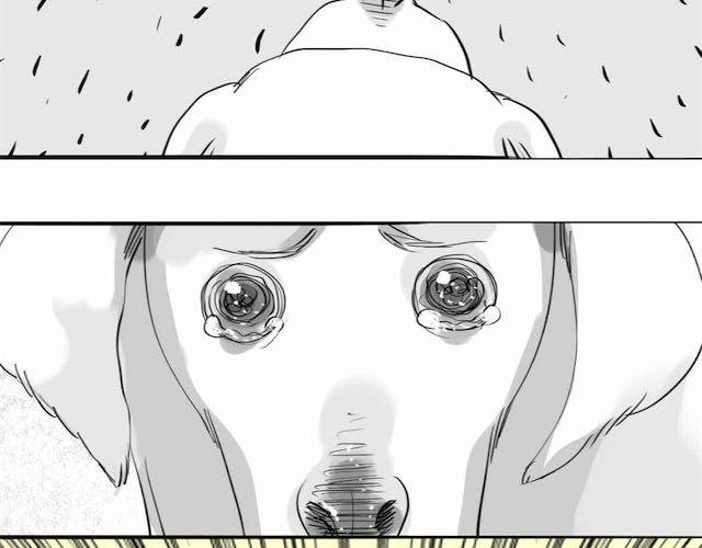 《毛绒绒》第58话 一起去散步 第23页