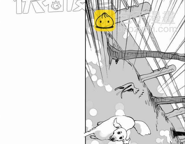 《毛绒绒》第58话 一起去散步 第29页