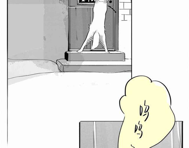 《毛绒绒》第58话 一起去散步 第37页