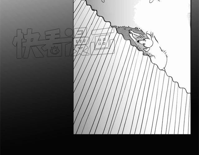 《毛绒绒》第58话 一起去散步 第45页