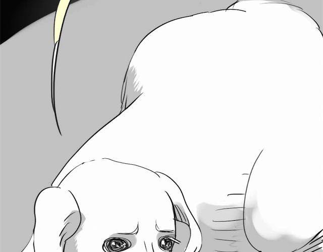 《毛绒绒》第58话 一起去散步 第48页