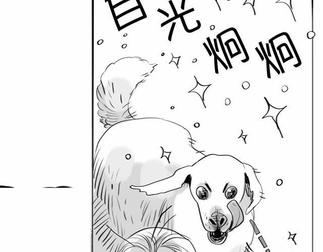 《毛绒绒》第59话 为什么又离开我了呢 第23页