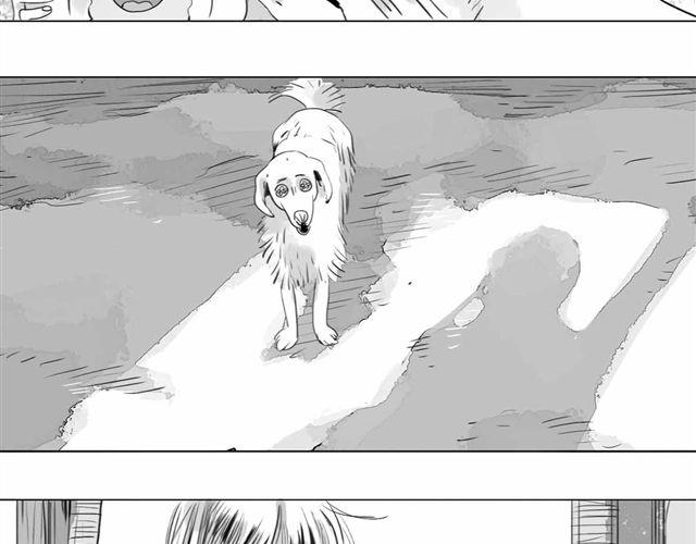 《毛绒绒》第59话 为什么又离开我了呢 第39页