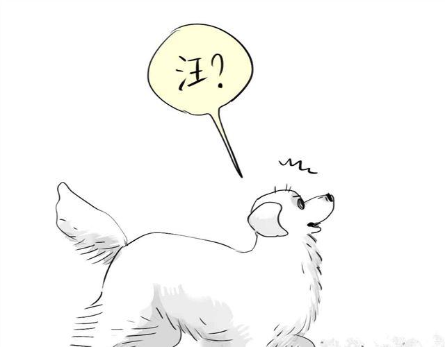 《毛绒绒》第59话 为什么又离开我了呢 第46页