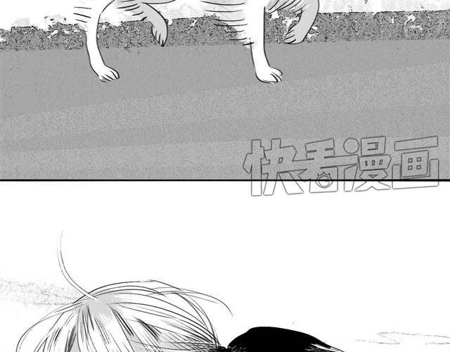 《毛绒绒》第59话 为什么又离开我了呢 第47页
