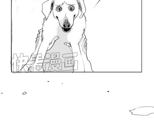 《毛绒绒》第62话 和他在一起的感觉完全不同 第35页