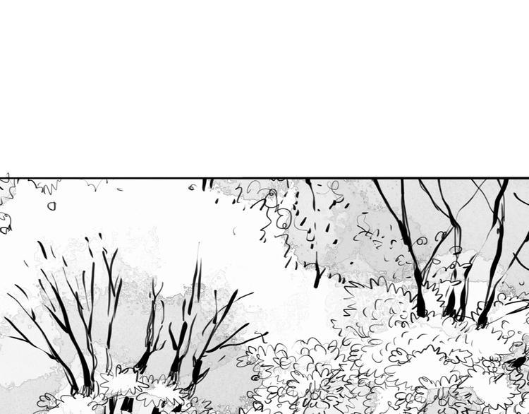 《毛绒绒》第90话 不可能的奇迹 第1页