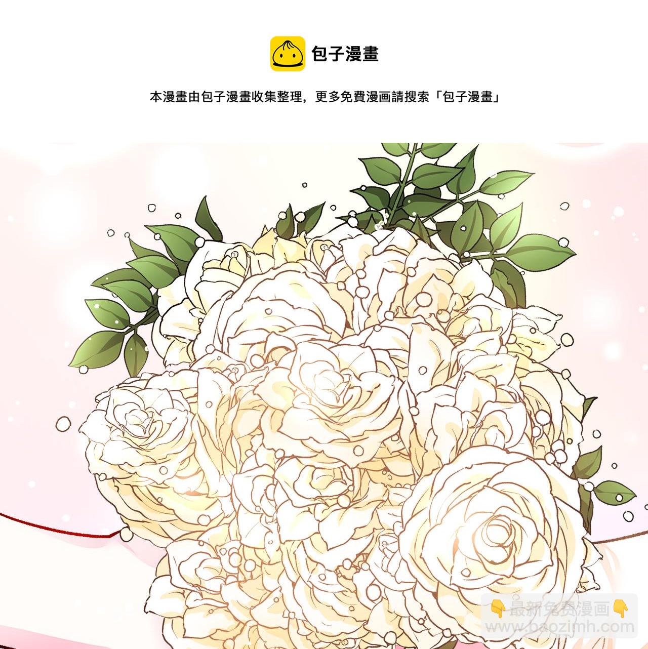 《颤抖吧！原着女主》完结篇 结婚 第29页