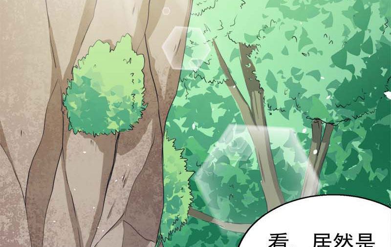 《傲娇男神爱上我》025埋骨之地 第15页