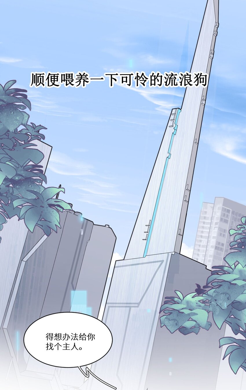 《虽然但是孤狼也可以拥有鸟子的爱》预告 预告 第6页