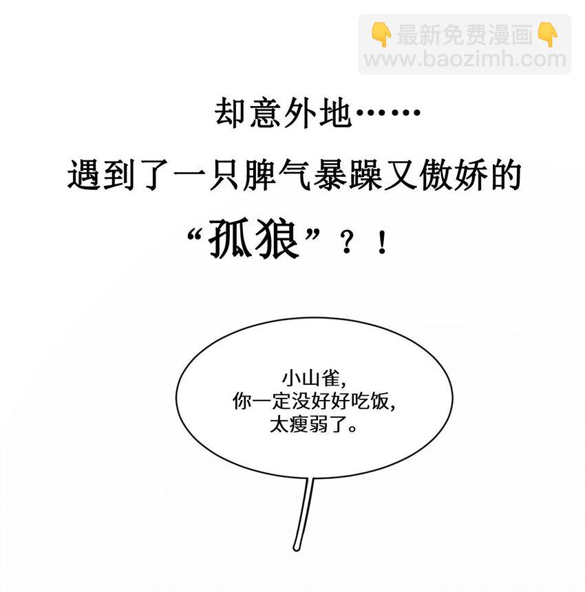 《虽然但是孤狼也可以拥有鸟子的爱》预告 预告 第9页