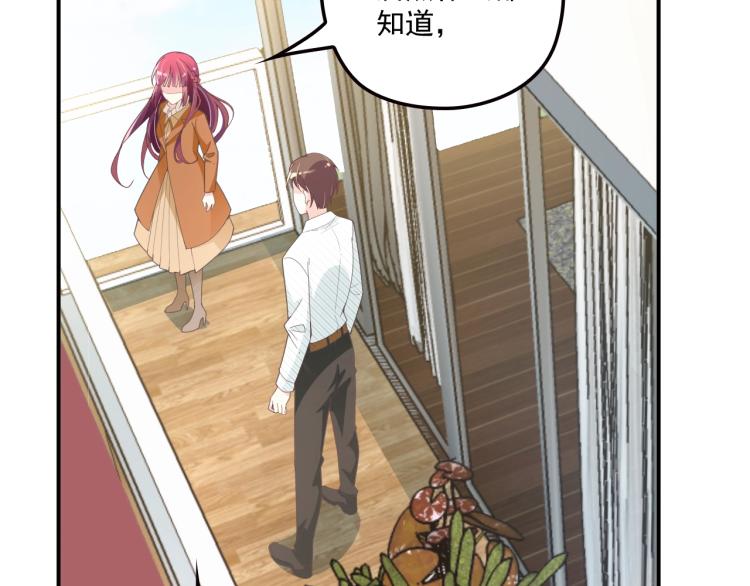 《双面总裁宠妻指南》第47话 往事 第18页