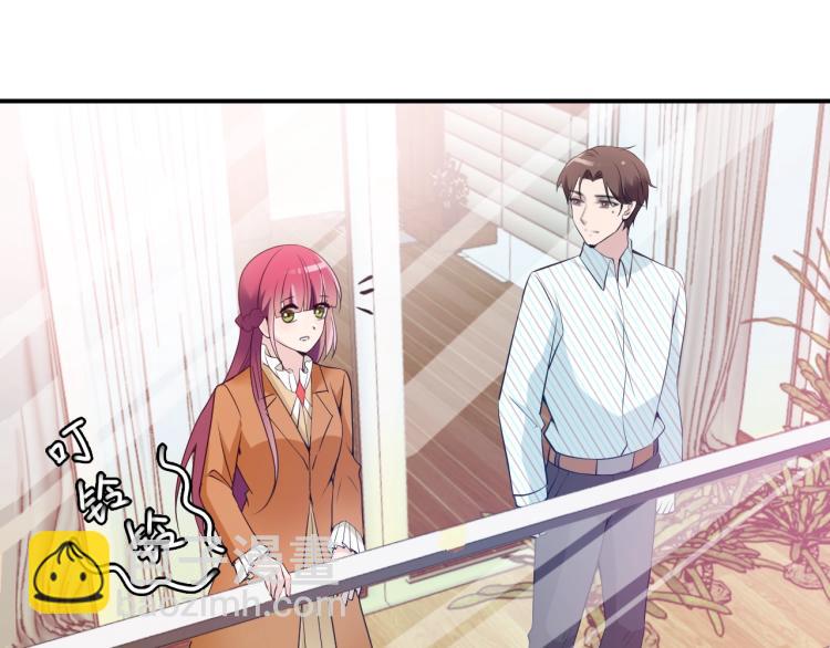《双面总裁宠妻指南》第47话 往事 第29页