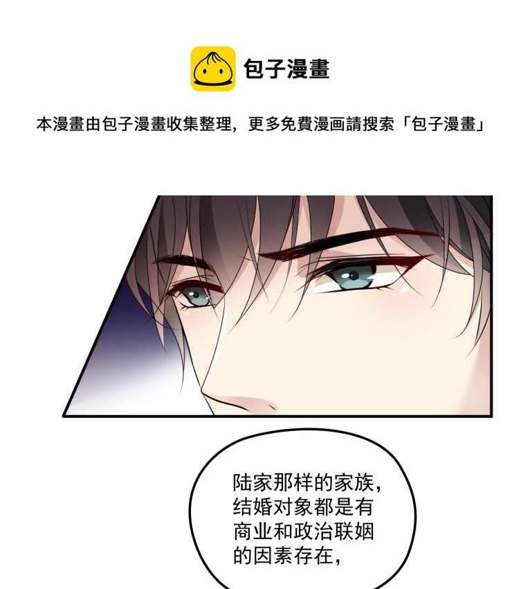 《双面总裁宠妻指南》第52话 你是唯一 第10页