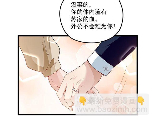 《双面总裁宠妻指南》第90话 回到苏家 第29页