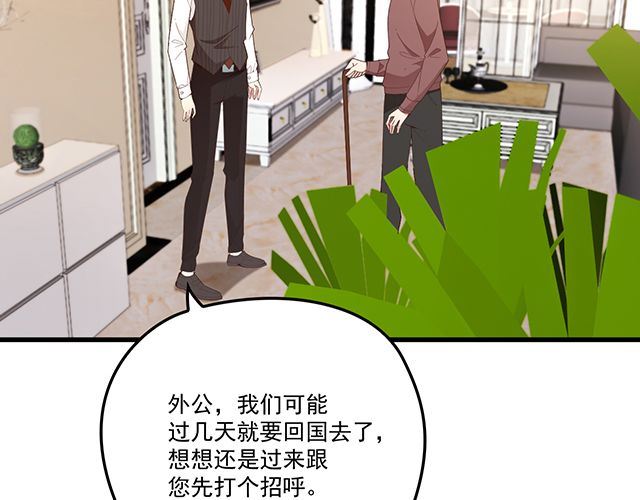 《双面总裁宠妻指南》第95话 暖暖要幸福呀 第8页