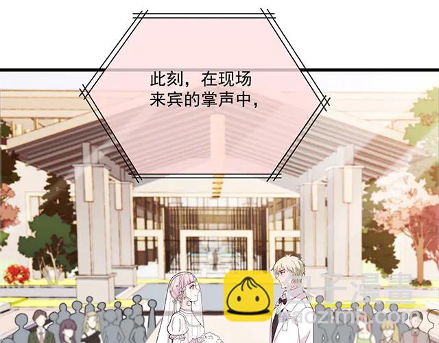 《双面总裁宠妻指南》第100话当然是一辈子 第3页