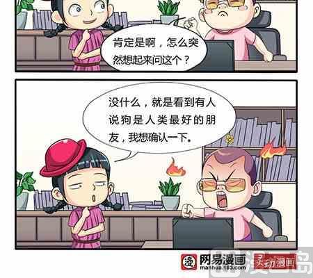 《网易每日轻松一刻》第246话 第3页