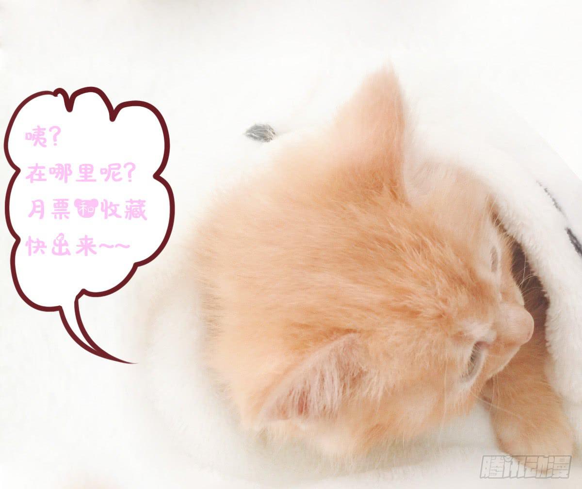 《废柴皇帝进化史》卫生间的阴谋 第49页