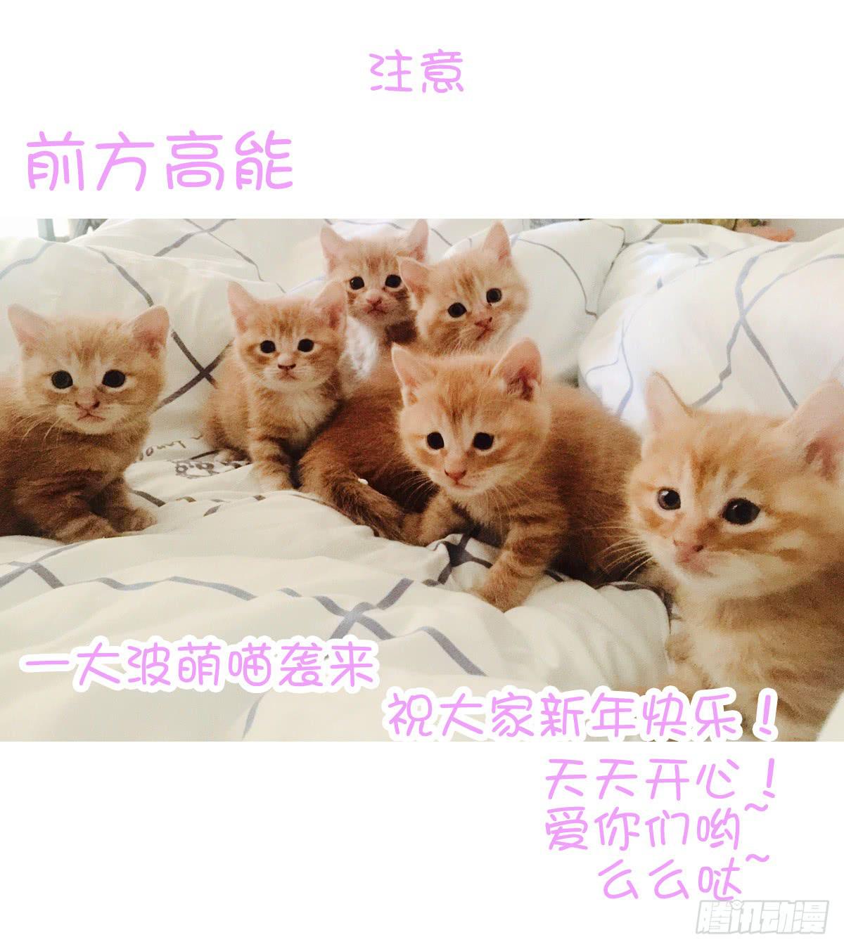 《废柴皇帝进化史》任性小皇帝 第35页