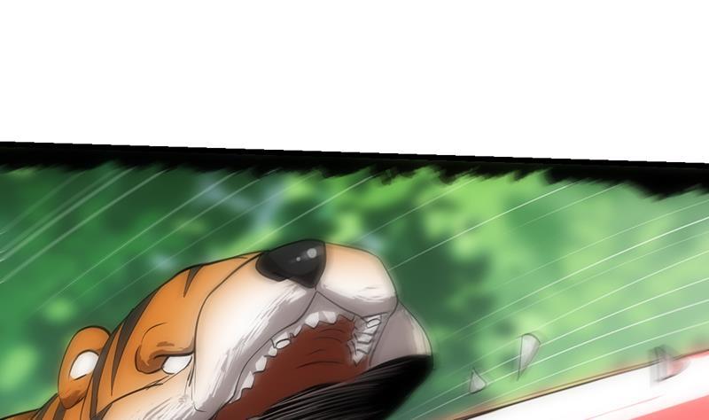 《别烦我修仙》第108话 火云的过去 第13页