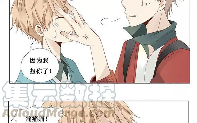 《天才不恋爱》第24话 原清流 第13页