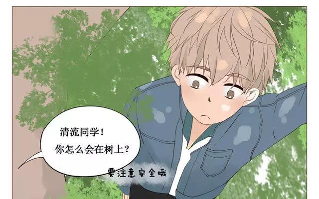 《天才不恋爱》第40话 那个关于树叶的传说 第14页