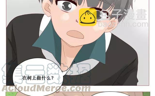 《天才不恋爱》第40话 那个关于树叶的传说 第17页