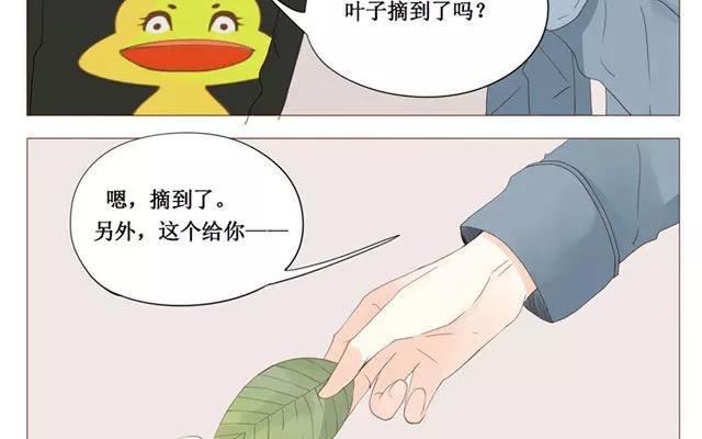 《天才不恋爱》第40话 那个关于树叶的传说 第38页