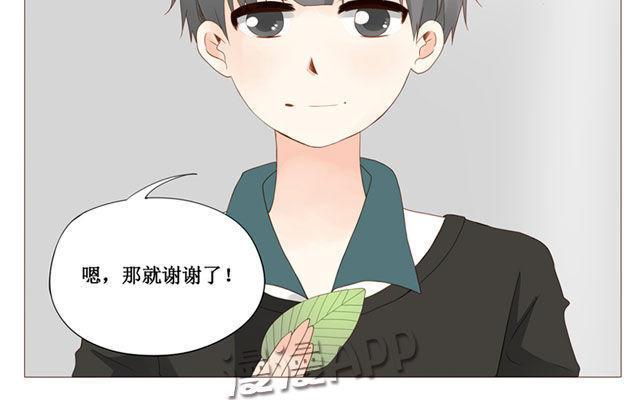 《天才不恋爱》第40话 那个关于树叶的传说 第43页