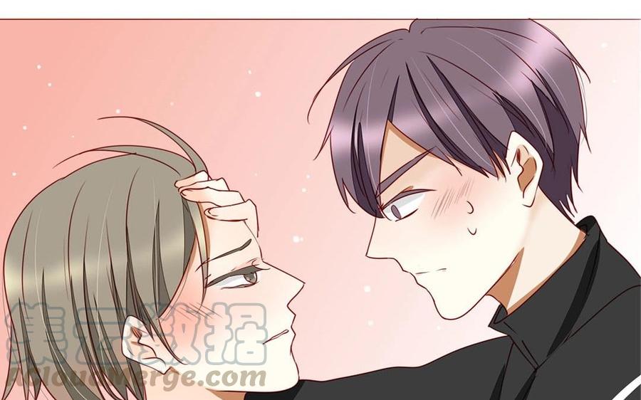《天才不恋爱》第98话 你不要命了？！ 第49页