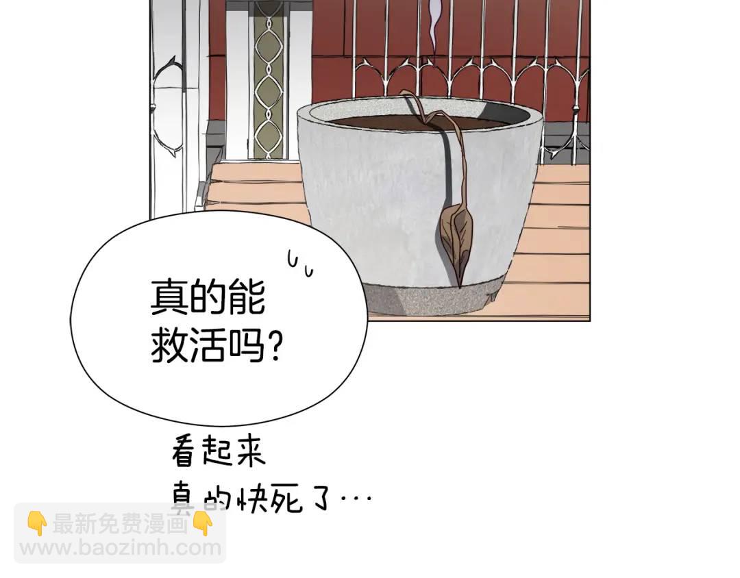 《哥哥们只会心疼我》第65话 失踪的真相 第14页