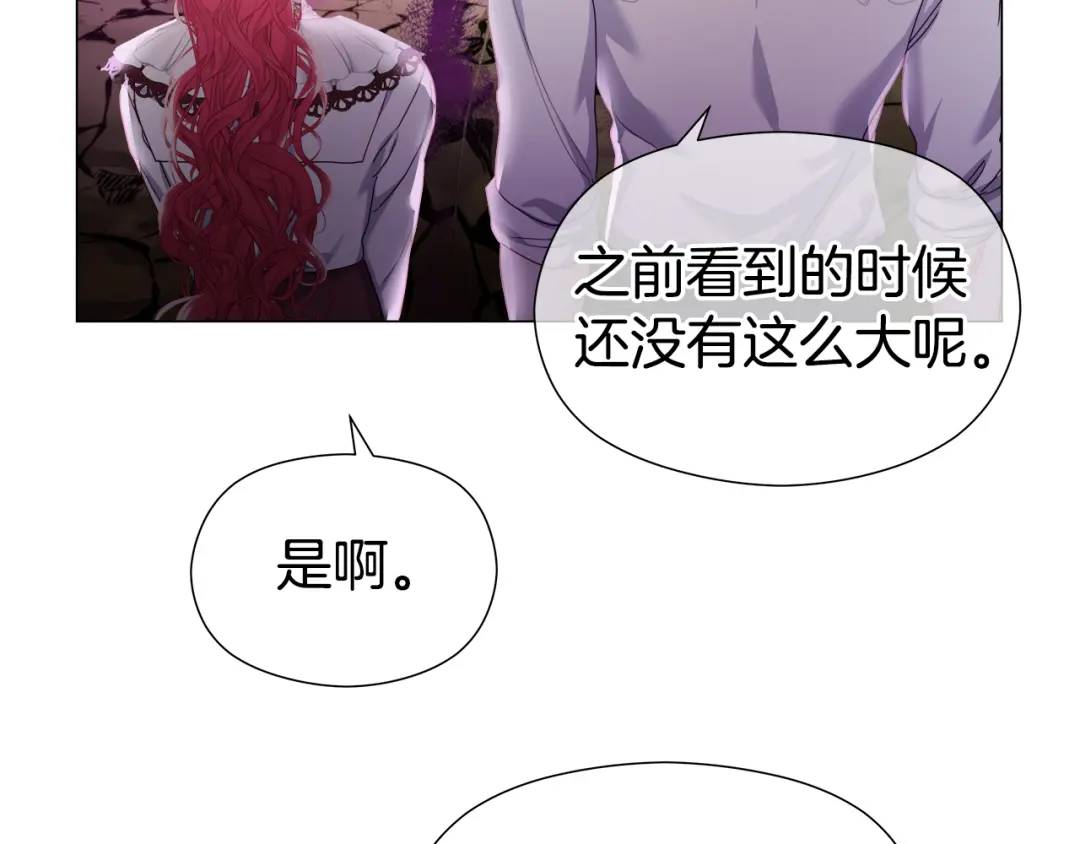 《哥哥们只会心疼我》第99话 再给我一次机会 第37页