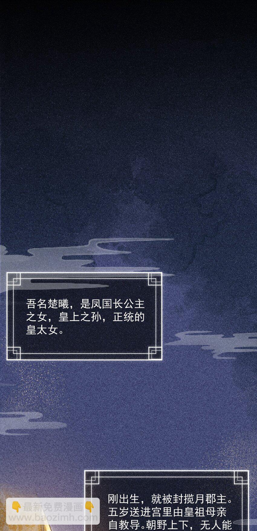 《夫君，皇位是我的！》第23话 你不是楚曦 第30页