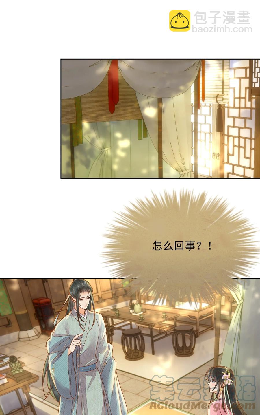 《夫君，皇位是我的！》第53话 辰王妃 第3页