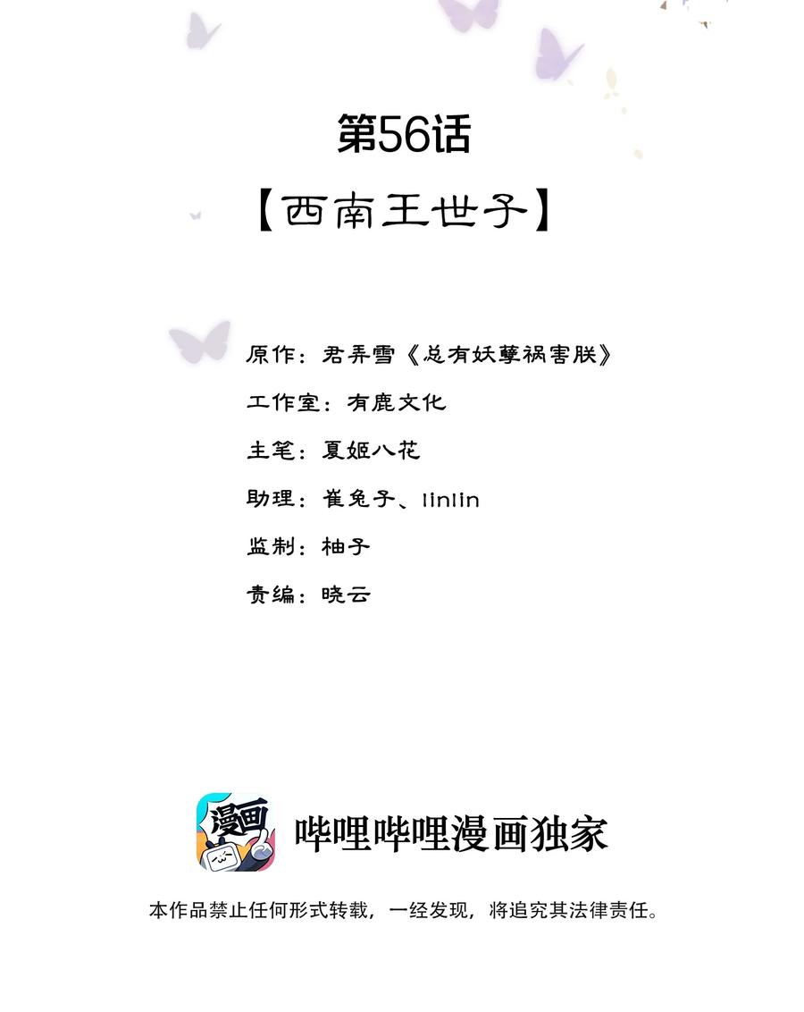 《夫君，皇位是我的！》第56话 西南王世子 第2页