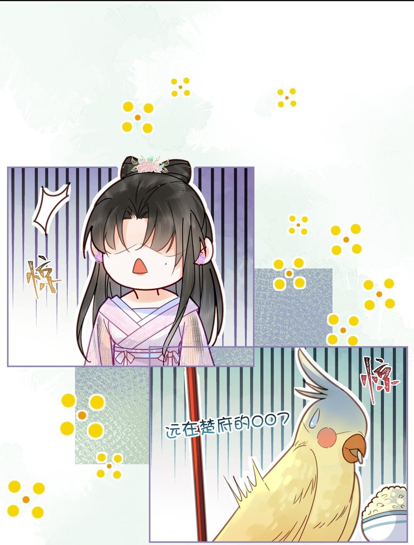 《夫君，皇位是我的！》第74话 可否与我双修 第46页