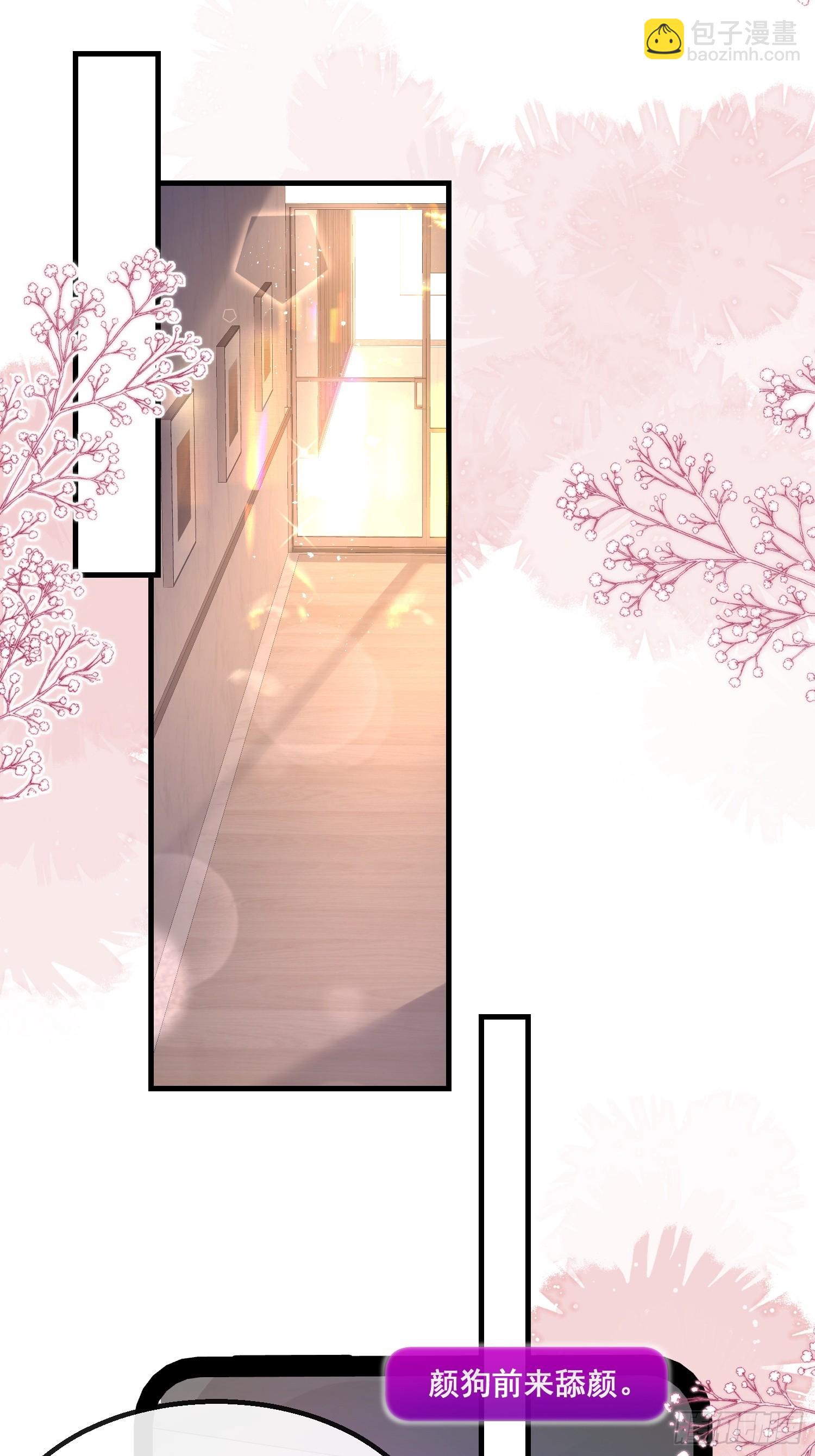 《离婚后，我携带千亿家产回归》19.我们小姐拒绝了 第10页