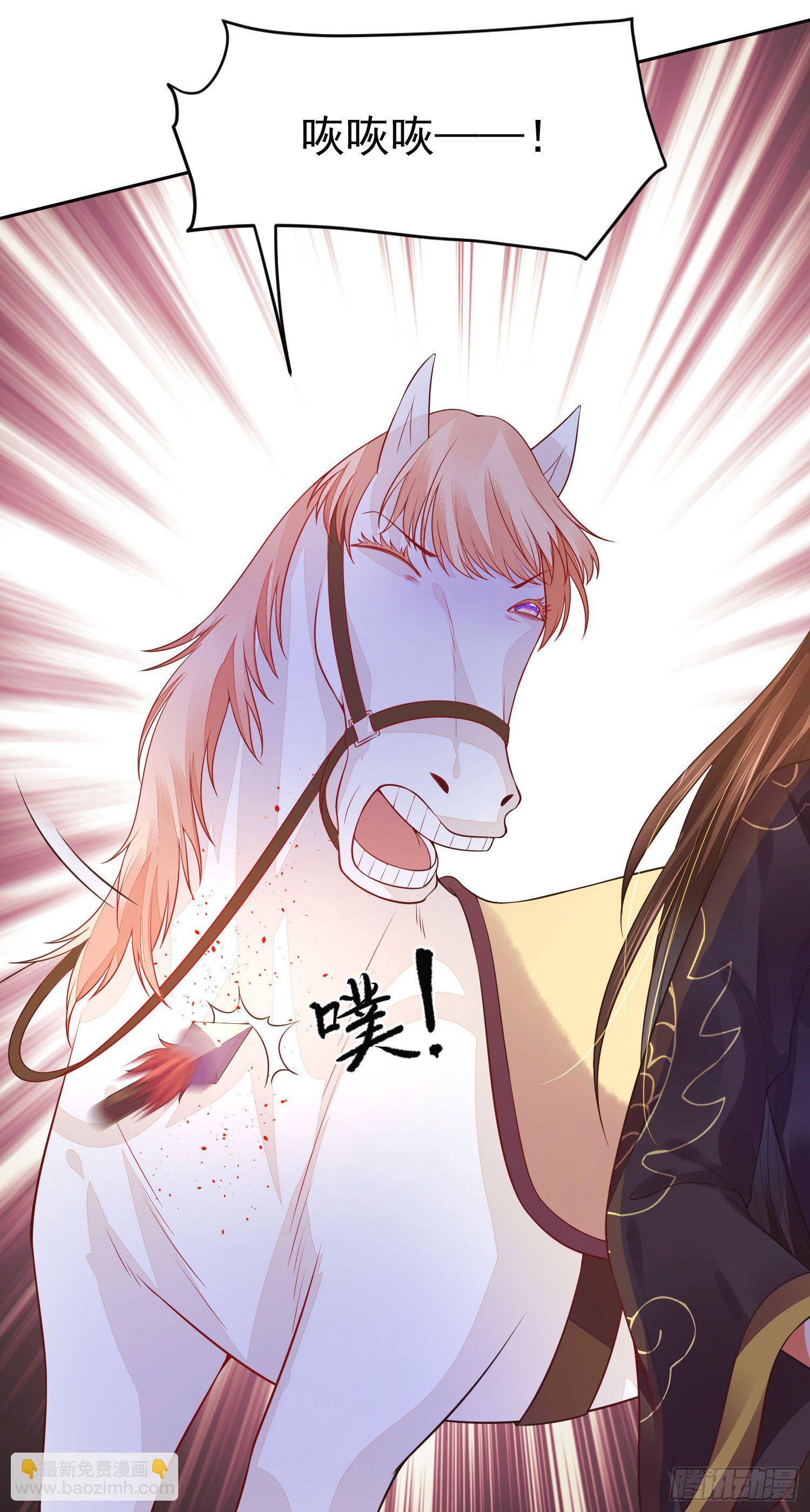 《朕的马是狐狸精》12 这次真的死了…… 第7页