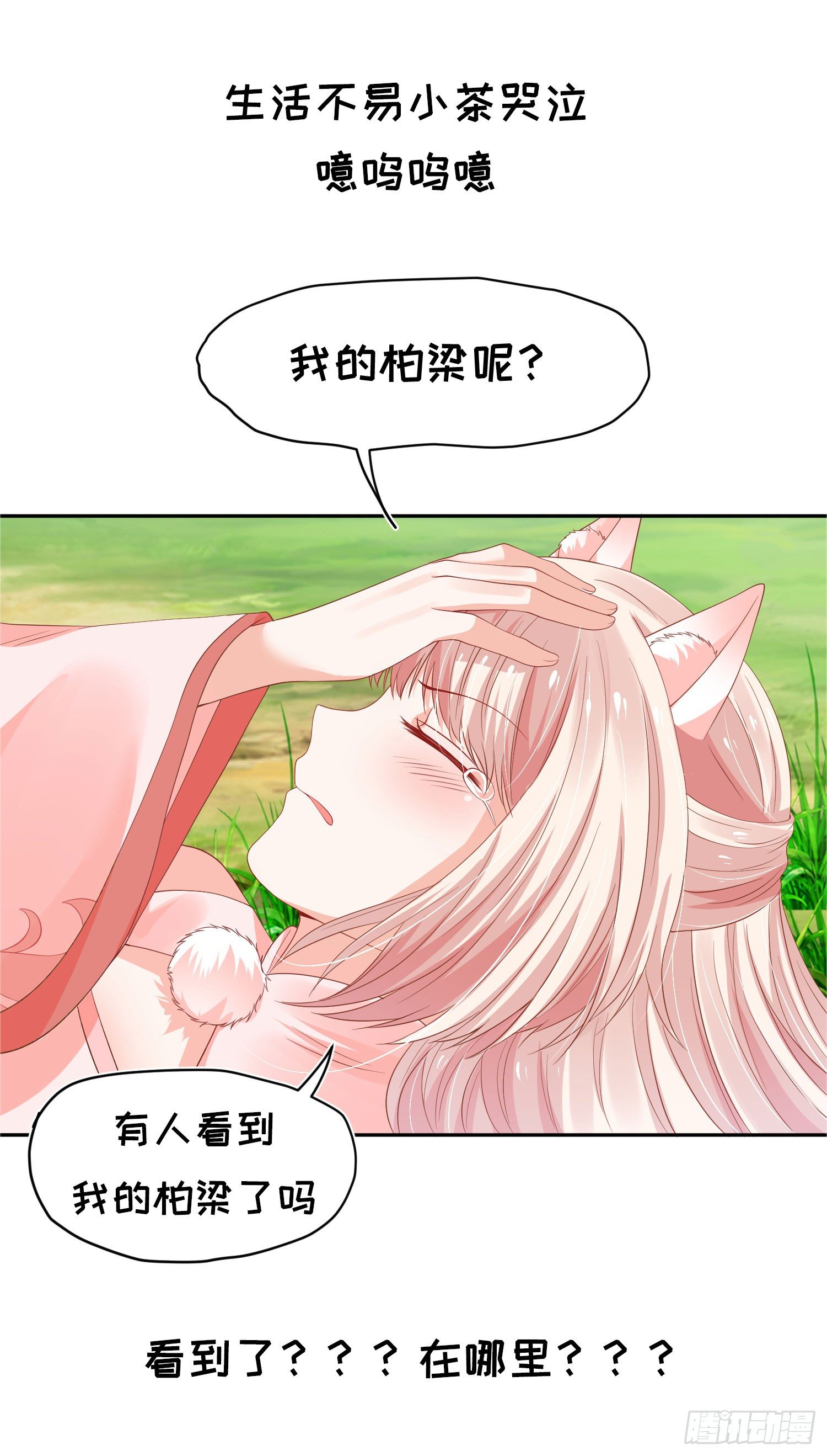 《朕的马是狐狸精》狐小茶的碎碎念 第5页