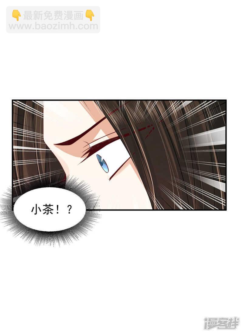 《朕的马是狐狸精》85 亲手做的汤 第13页