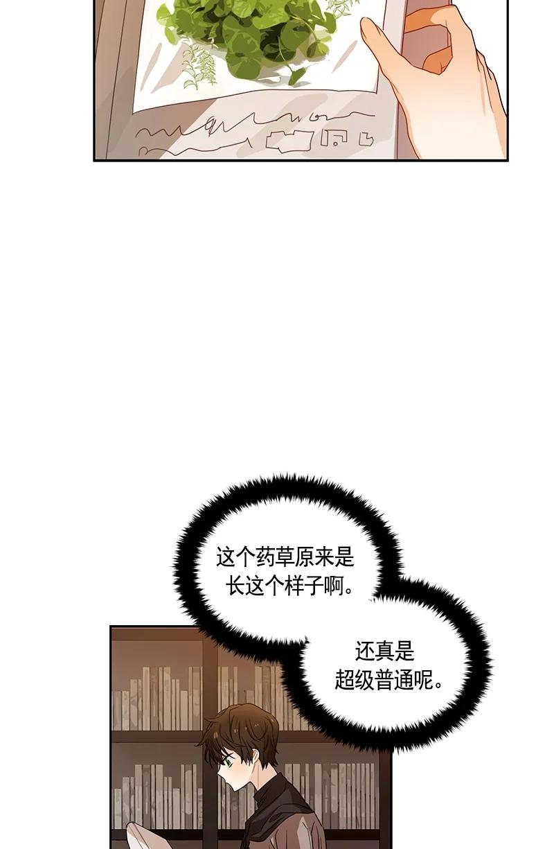 《红莲之罪转生成为女骑士》084 第八十四章 第38页