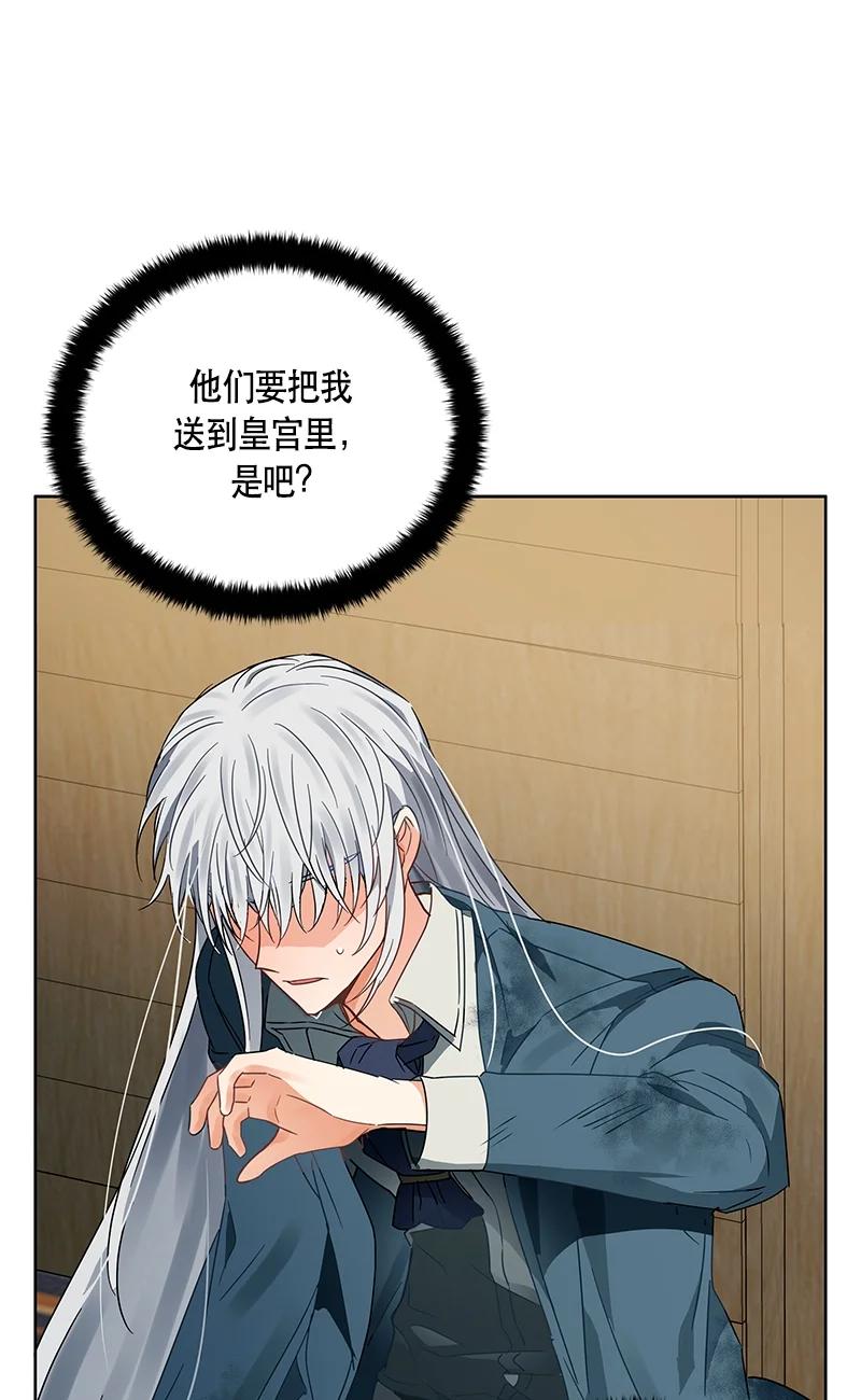《红莲之罪转生成为女骑士》142 一百四十二话 第20页