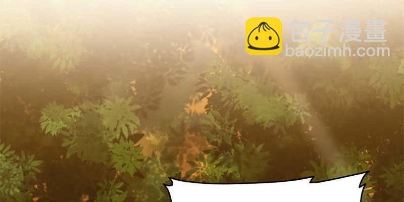《诱爱小狐仙》决明子与断肠草 第6页