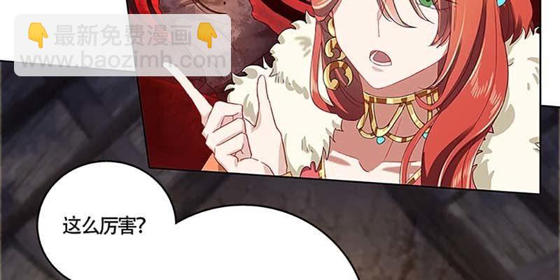 《诱爱小狐仙》化魔录到底是什么？ 第44页