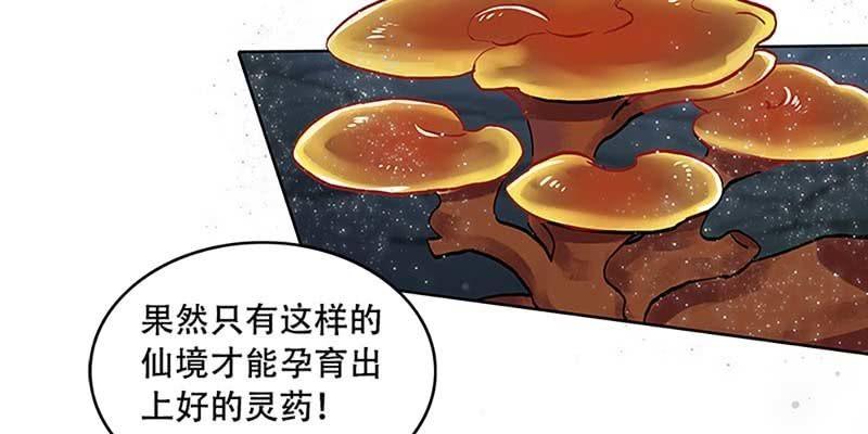 《诱爱小狐仙》青尊已经无能为力 第19页