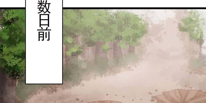 《诱爱小狐仙》玲珑儿被杀的真相 第6页
